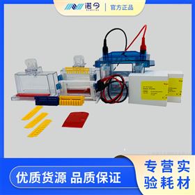 天能VE-180微型垂直电泳槽