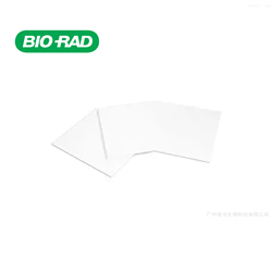 BIO-RAD.1703968伯乐特厚斑点滤纸 14*16厘米