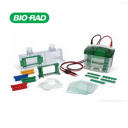 BIO-RAD.1658001伯乐 小垂直电泳槽