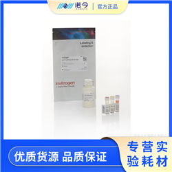 Invitrogen.Q10212Qubit™ ssDNA 检测试剂盒