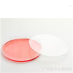 150468赛默飞Nunc EasYDish 培养皿