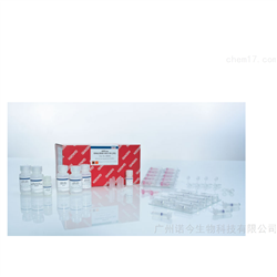 凯杰AllPrep DNA/RNA Mini Kit试剂 -80204