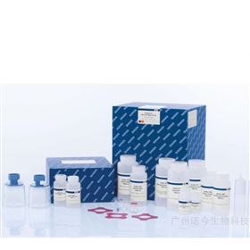 凯杰EndoFree Plasmid Giga Kit (5)-12391