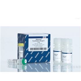 凯杰Effectene Transfection Reagent301425